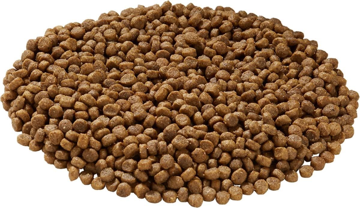 Health Extension Lite Chicken & Brown Rice Dry Dog Food (4 lb / 1.81 kg) - Low-Fat Formula with Glucosamine, Probiotics & Omega 3 for Overweight, Spayed, Neutered, or Senior Dogs - Image 6