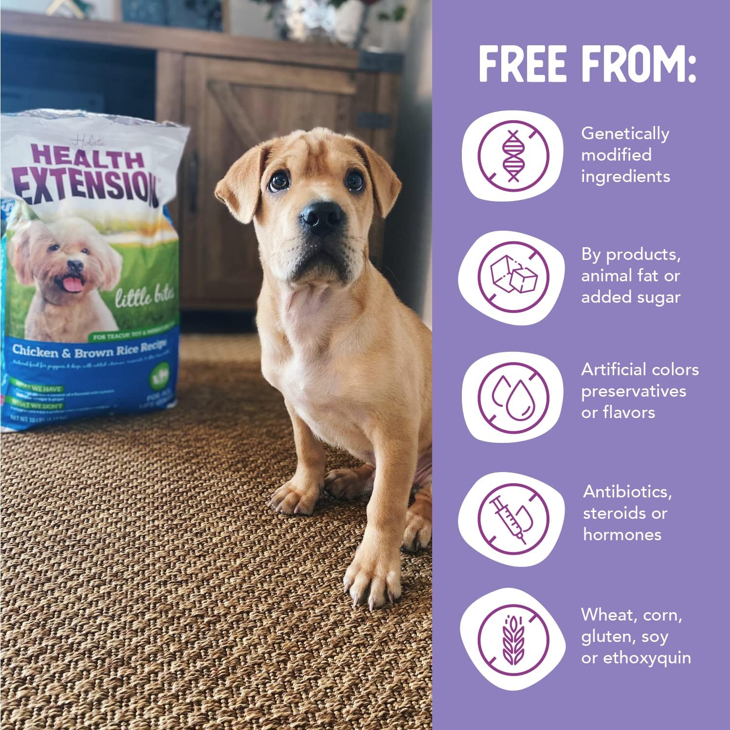 Health Extension Little Bites Chicken & Brown Rice Dry Dog Food - Natural with Probiotics and Superfoods for Teacup, Toy & Small Breeds - Image 6