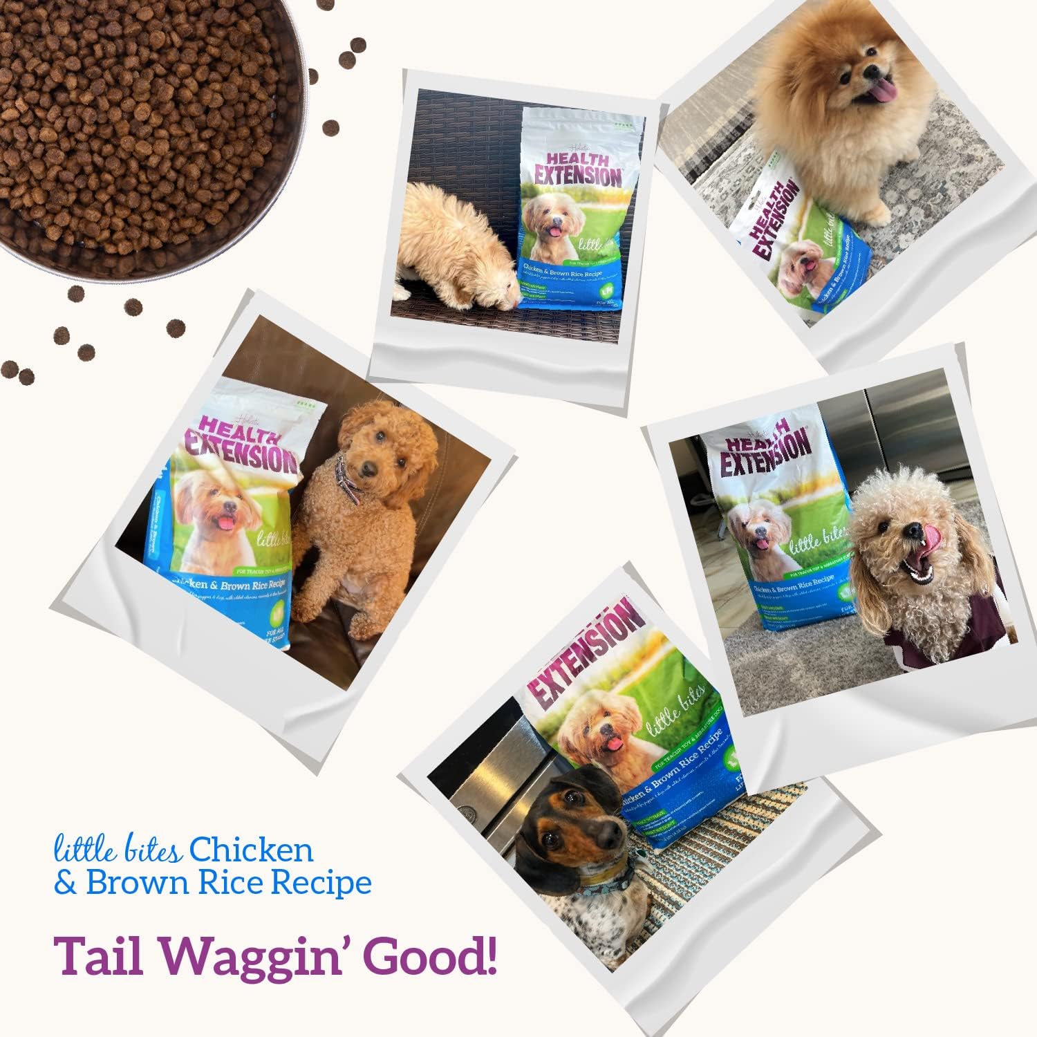 Health Extension Little Bites Chicken & Brown Rice Dry Dog Food - Natural with Probiotics and Superfoods for Teacup, Toy & Small Breeds - Image 8