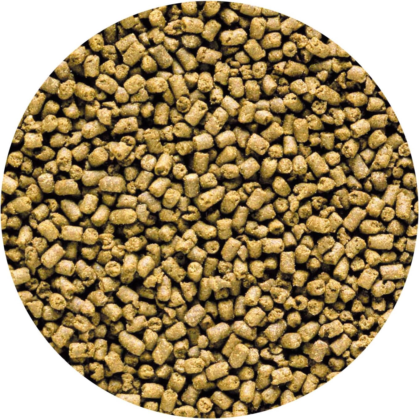 Hikari 042220 Carnivore Medium Sinking Pellets Marine Fish Food, One Size - Image 4