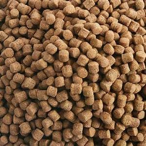 Hikari 17.6-Ounce Sinking Wheat Germ Pellets for Pets, Medium - Image 4