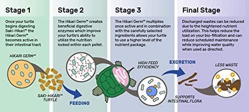 Hikari Aquatic Turtle Probiotic Diet - Image 3