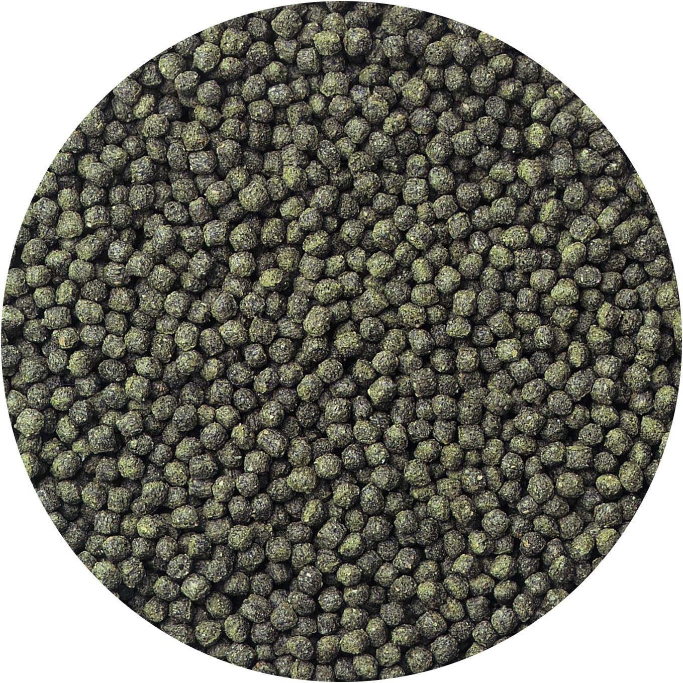 Hikari Cichlid Excel Floating Pellets for Pets - Image 5