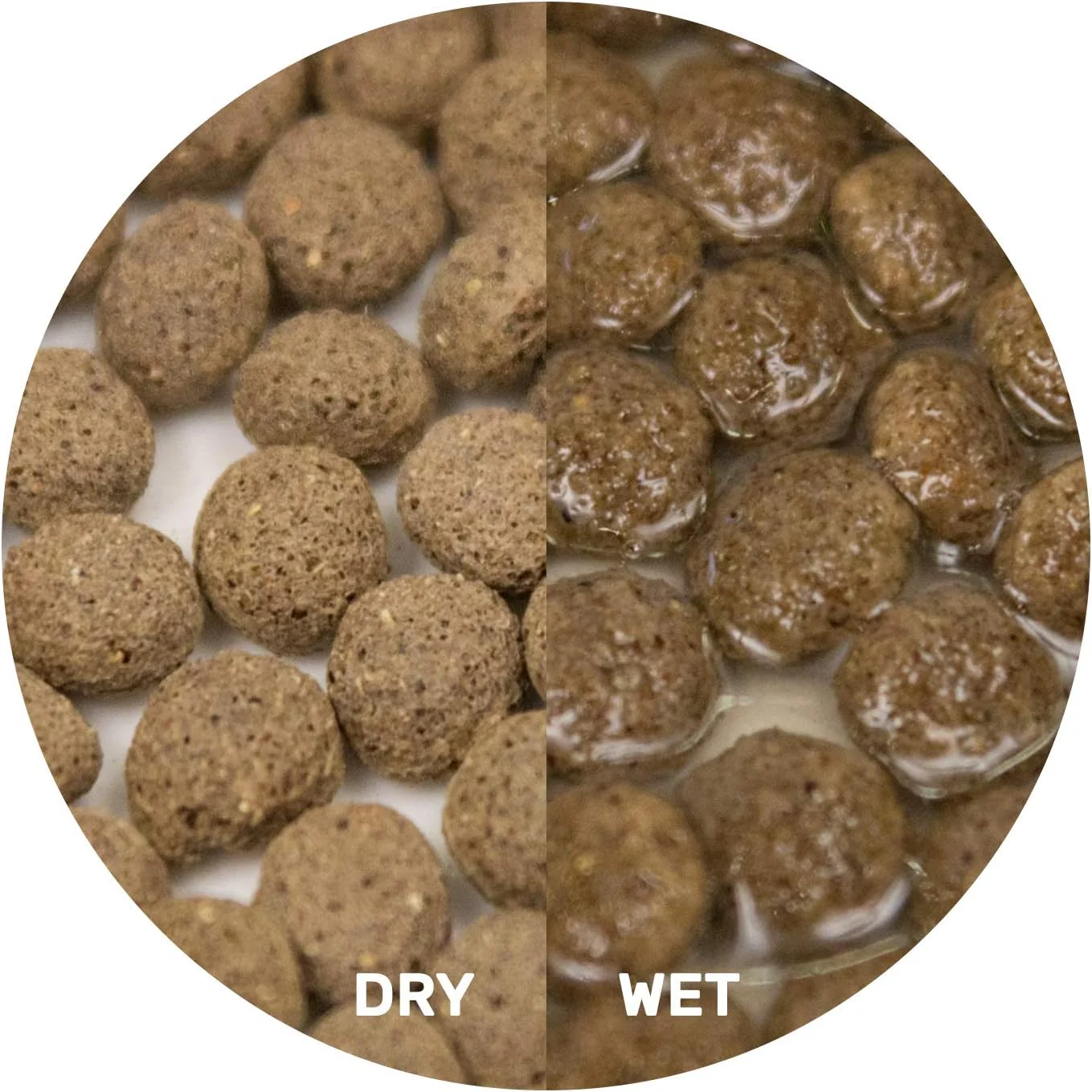 Hikari Herptile Dragon Delite™ Dry Reptile Food - Image 4