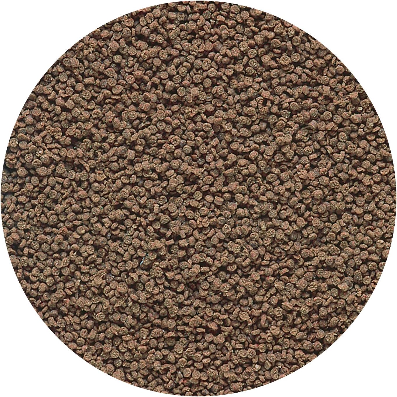Hikari Micro Wafers for Pets - Image 4