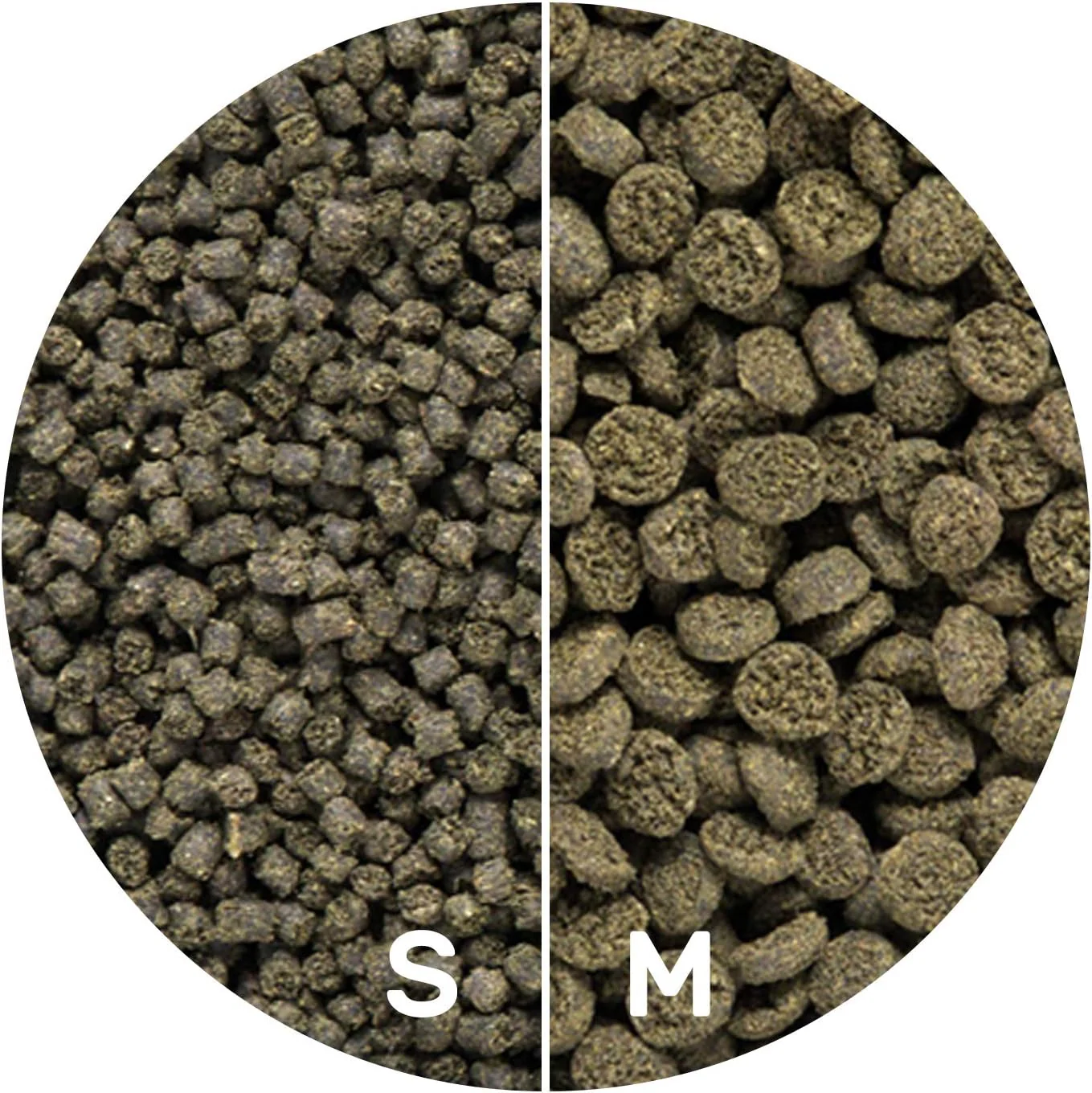 Hikari Seaweed Extreme Wafer Fish Food - Image 4