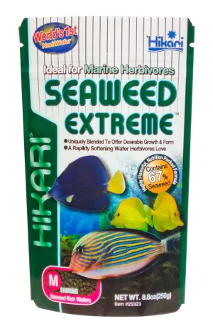 Hikari Seaweed Extreme Wafer Fish Food - Image 8