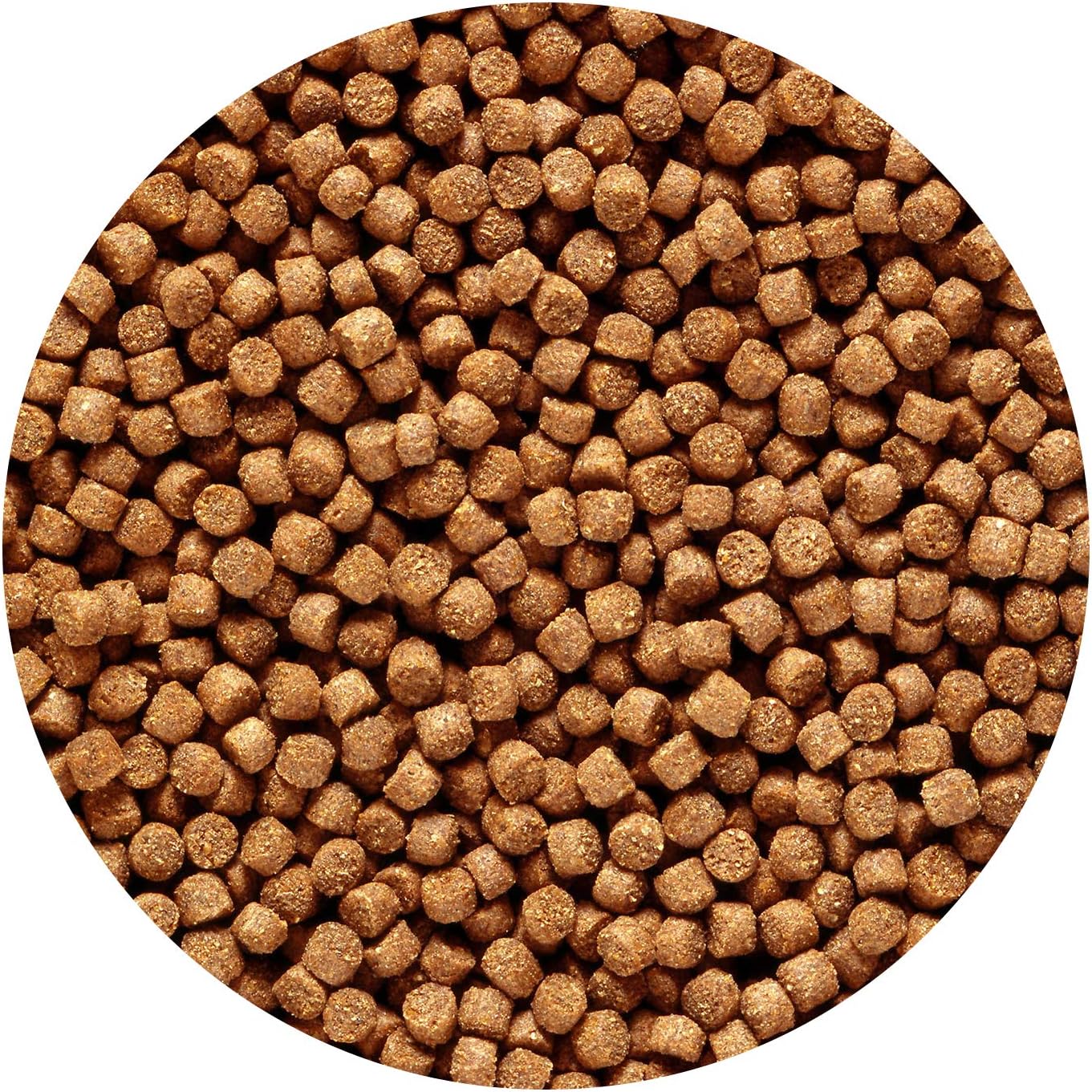 Hikari Sinking Cichlid Gold Pellets for Pets - Image 4