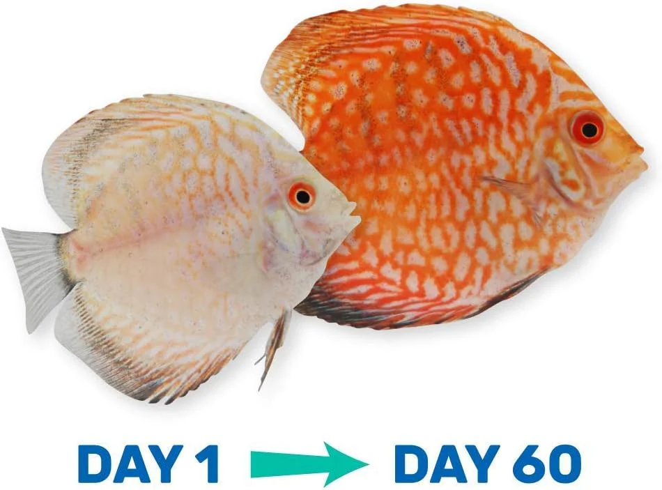 Hikari Vibra Bites Tropical Fish Food - Image 6