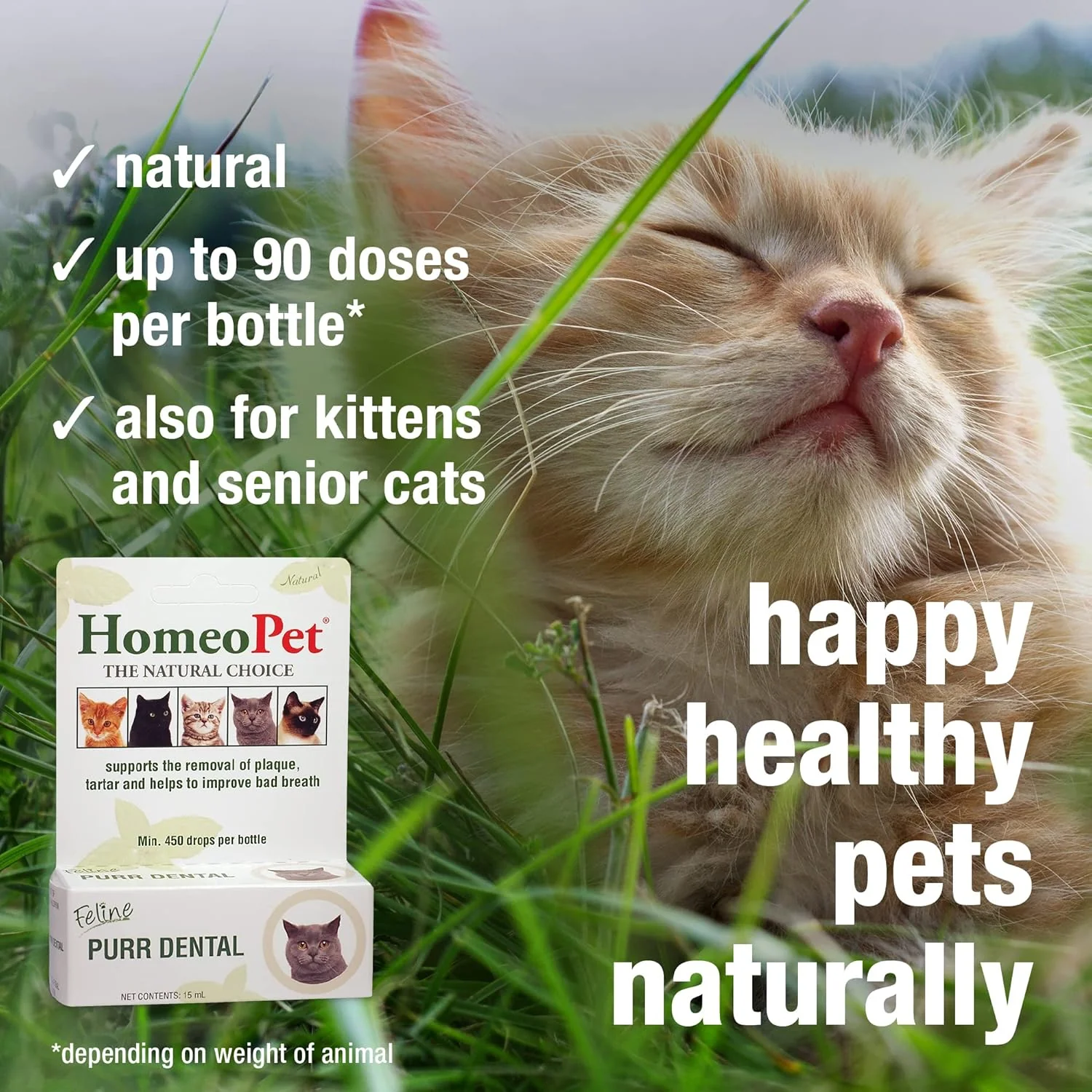 HomeoPet Feline Purr Dental, Safe and Natural Tooth and Dental Care for Cats, Cat Dental Care, 15 Milliliters - Image 4