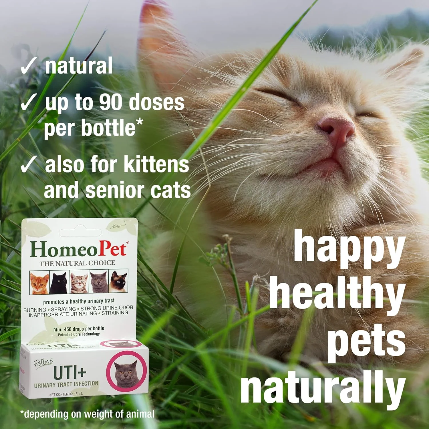 HomeoPet Feline UTI Plus, Safe and Natural Urinary Tract Supplement for Cats, Feline Urinary Tract Support, 15 Milliliters - Image 4