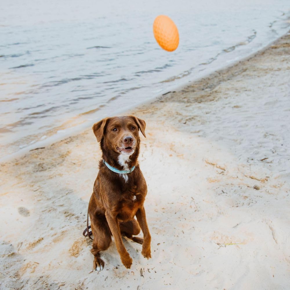Hound2O Outdoor Dog Toys | Squeaky Football for Dogs, Bright Orange | Durable Toy That Floats for Water Adventures | Interactive Ball for Dogs Made from Non-Toxic Materials - Image 3