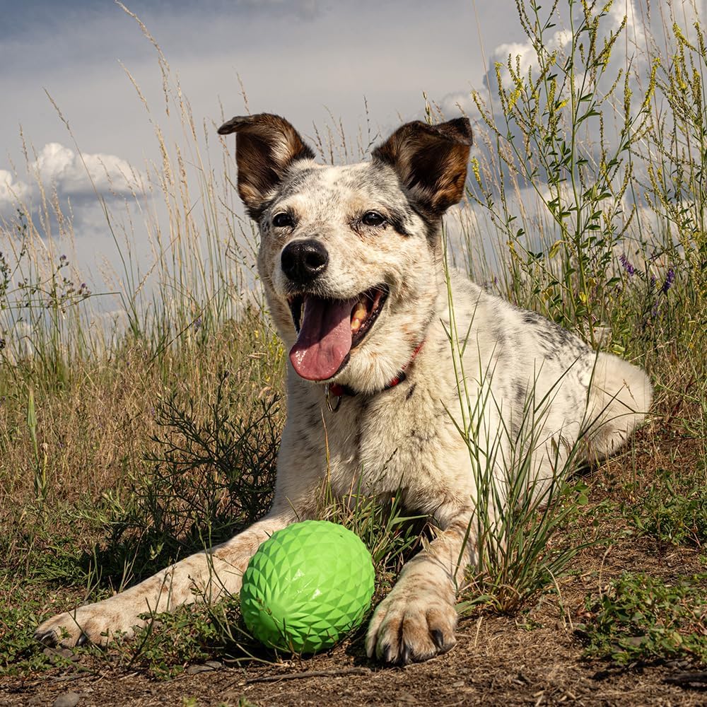 Hound2O Outdoor Dog Toys | Squeaky Football for Dogs, Durable Toy That Floats for Water Adventures | Interactive Ball for Dogs Made from Non-Toxic Materials - Image 3