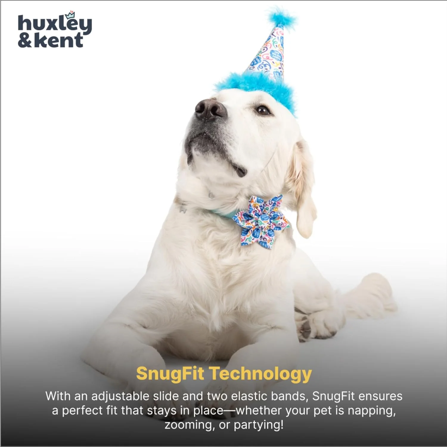 Huxley & Kent Pet Party Hat w/SnugFit Tech - Cute Glitter Doggie Birthday Party Hat - Cat & Dog Birthday Hat - Dog Hats for Parties, Adoption or Gotcha Day (Happy Got Me Day, Large) - Image 3
