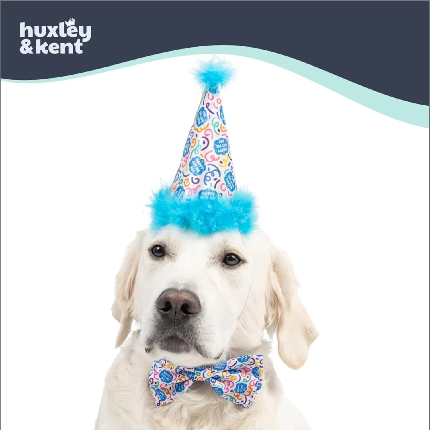 Huxley & Kent Pet Party Hat w/SnugFit Tech - Cute Glitter Doggie Birthday Party Hat - Cat & Dog Birthday Hat - Dog Hats for Parties, Adoption or Gotcha Day (Happy Got Me Day, Large) - Image 4