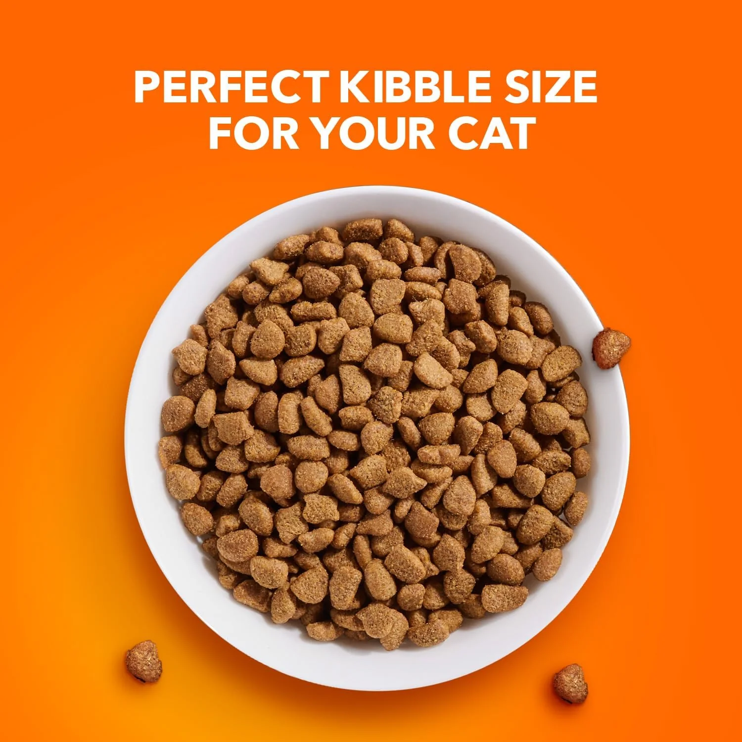 IAMS Proactive Health Adult Sensitive Digestion & Skin Dry Cat Food with Turkey - Image 9