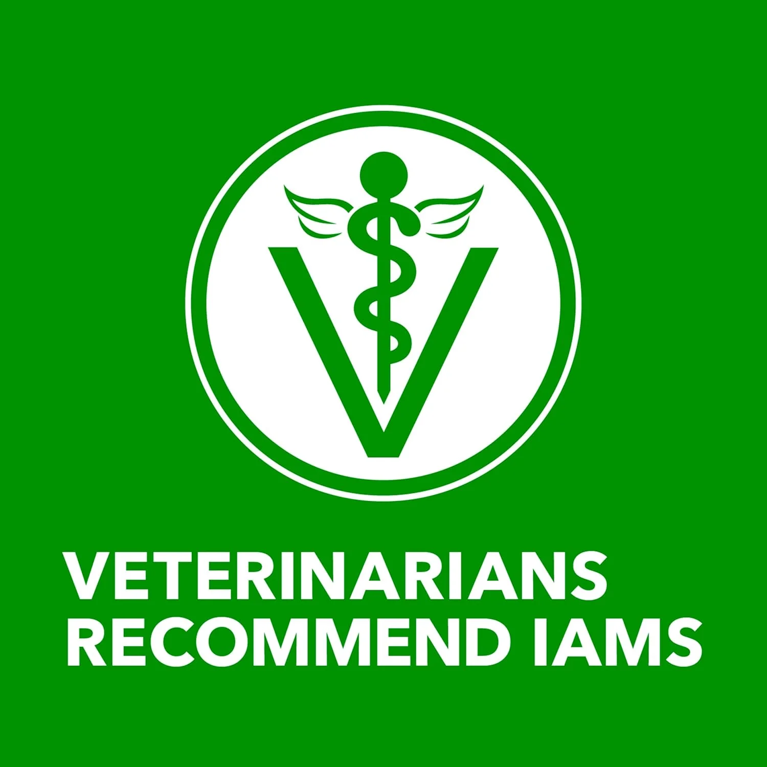 IAMS Proactive Health Adult Wet Dog Food Classic Ground with Chicken and Rice - Image 9