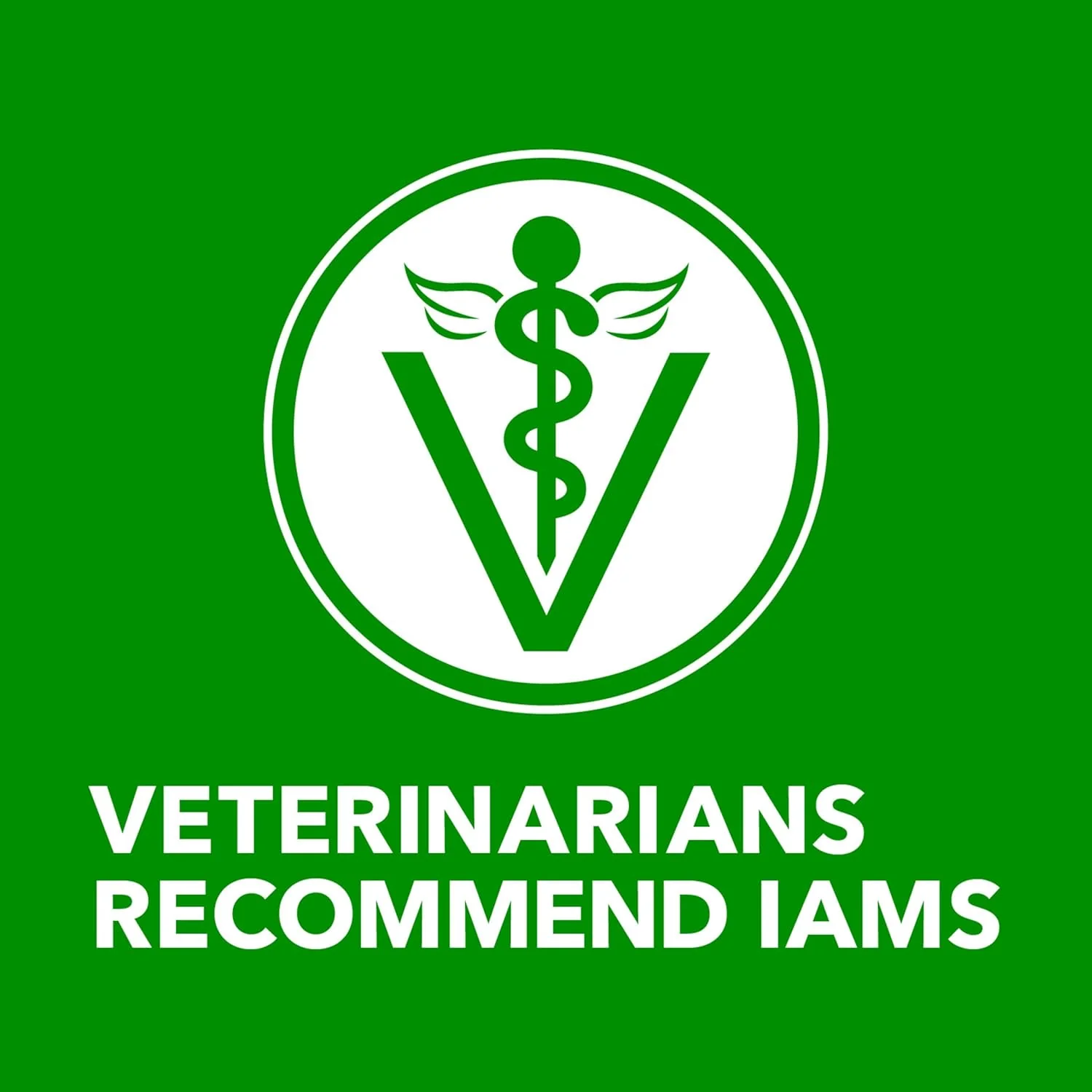 IAMS Proactive Health Adult Wet Dog Food Classic Ground with Lamb and Rice, 13 oz. Cans, Pack of 6 - Image 9