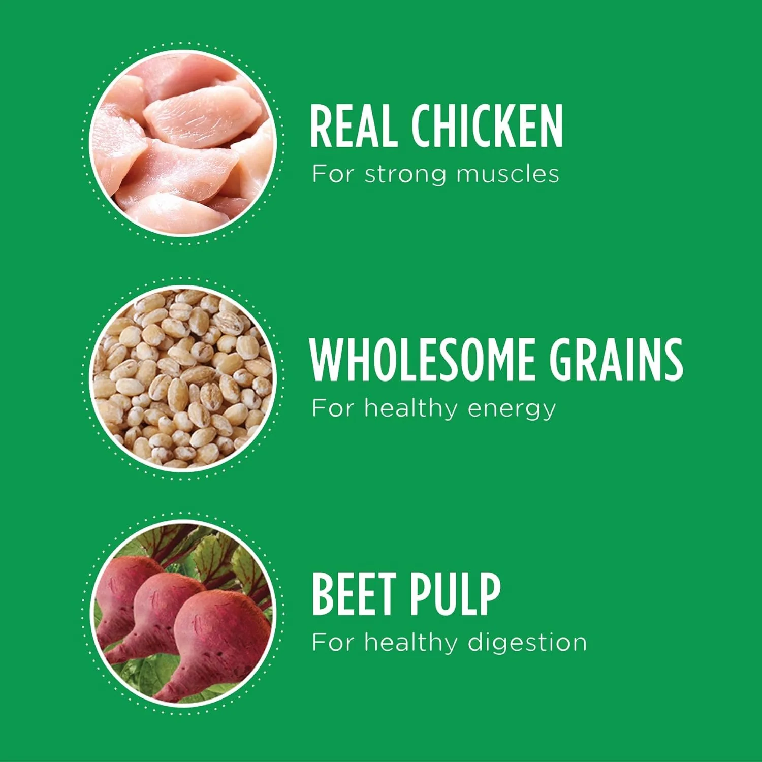 Iams Proactive Health Minichunks with Chicken & Whole Grain Recipe Adult Dry Dog Food - Image 7