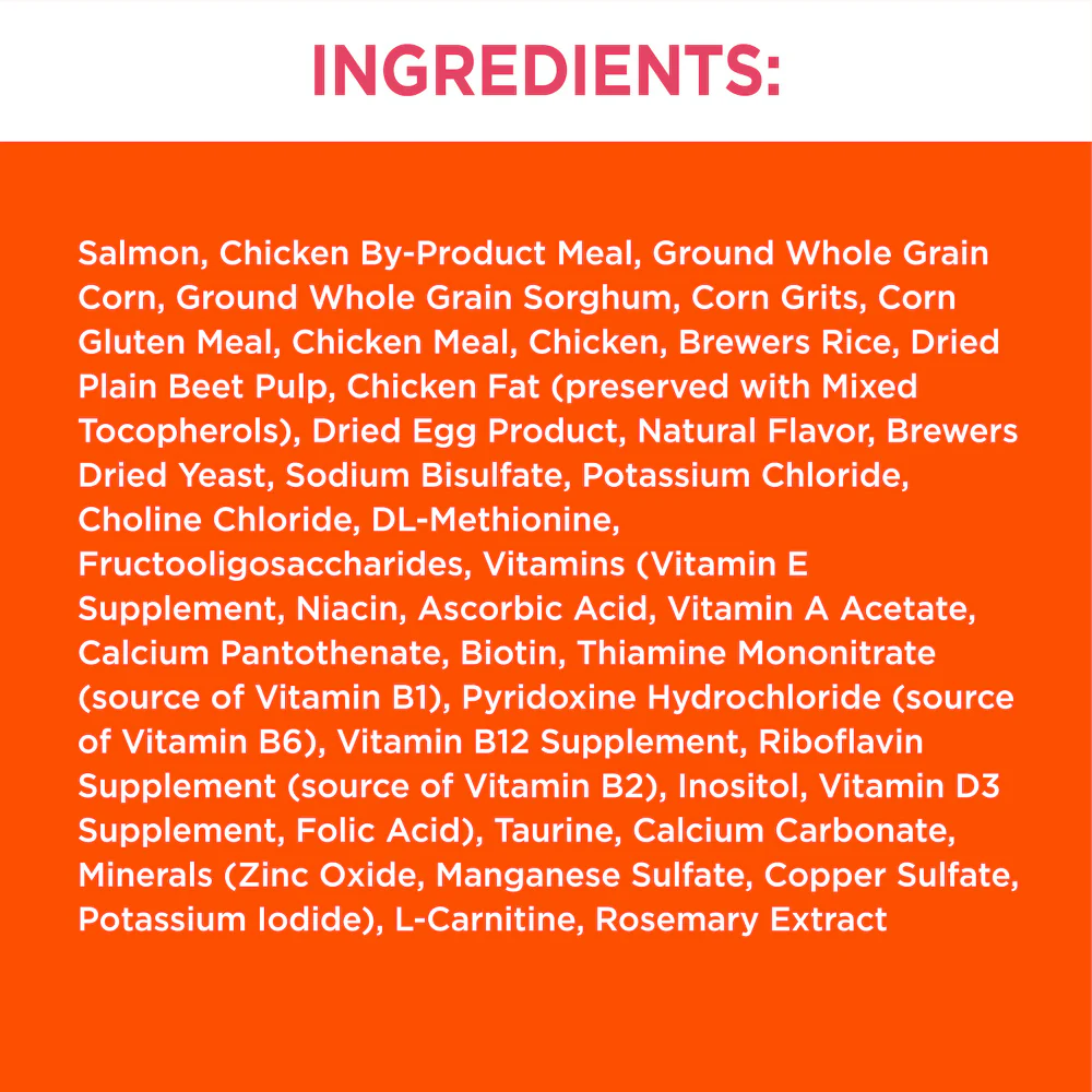 IAMS Proactive Health Adult Healthy Dry Cat Food with Salmon - Image 4