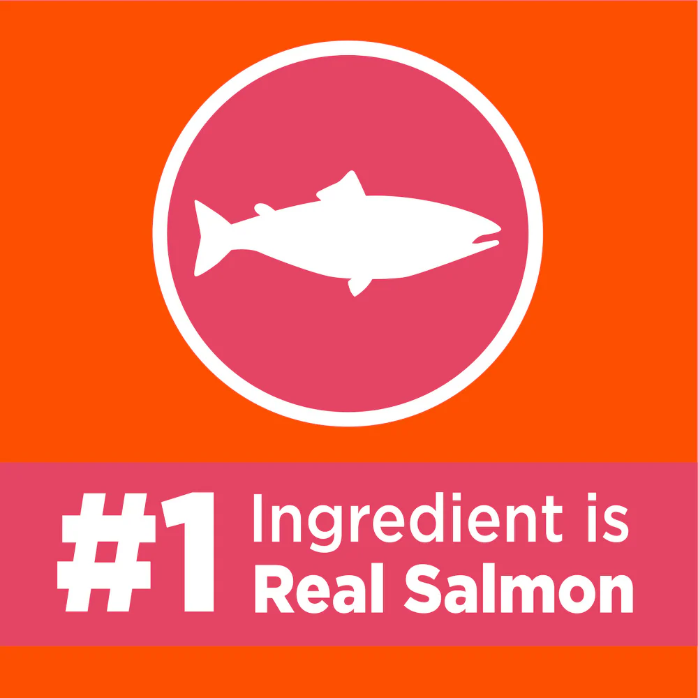 IAMS Proactive Health Adult Healthy Dry Cat Food with Salmon - Image 5