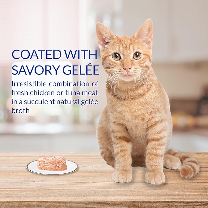 INABA Twins for Cats, Grain-Free Shredded Chicken & Broth Gelée Side Dish/Complement/Topper Cups, 1.23 Ounces per Serving, 14.76 Ounces Total (12 Servings), Tuna & Chicken with Scallop Recipe - Image 2