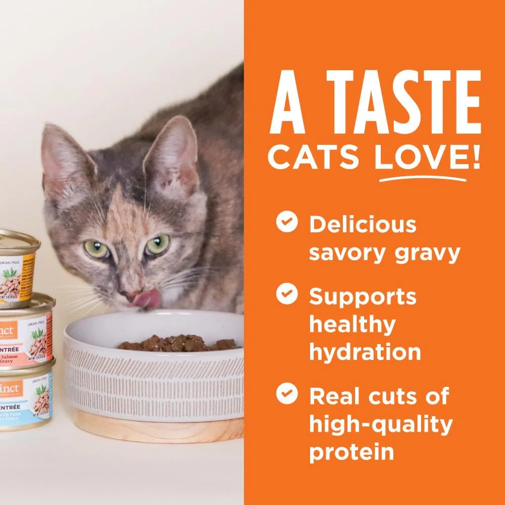 Instinct Flaked Entrée Wet Canned Cat Food - Variety Pack - Image 3