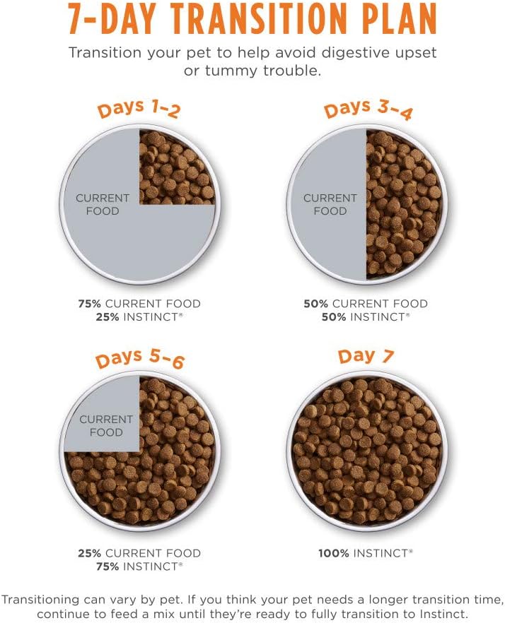 Instinct Original Dry Cat Food, Raw Coated Kibble, High Protein, Grain Free Recipe - Real Salmon - Image 10