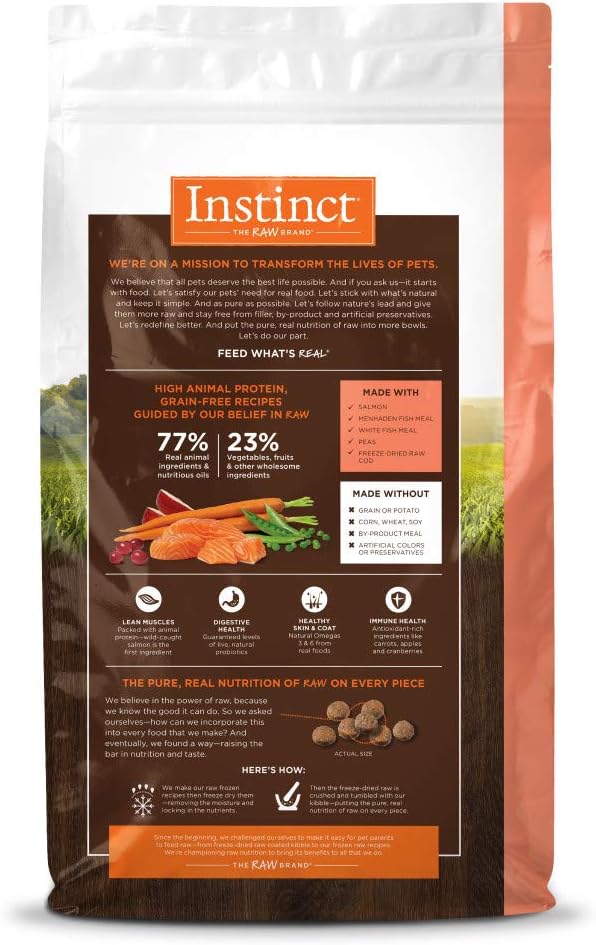 Instinct Original Dry Cat Food, Raw Coated Kibble, High Protein, Grain Free Recipe - Real Salmon - Image 2