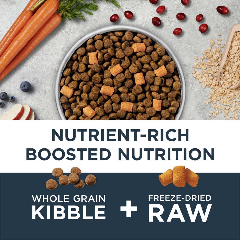 Instinct Raw Boost Gut Health, Natural Dry Dog Food with Freeze Dried Pieces, Whole Grain Recipe- Real Chicken and Brown Rice - Image 3