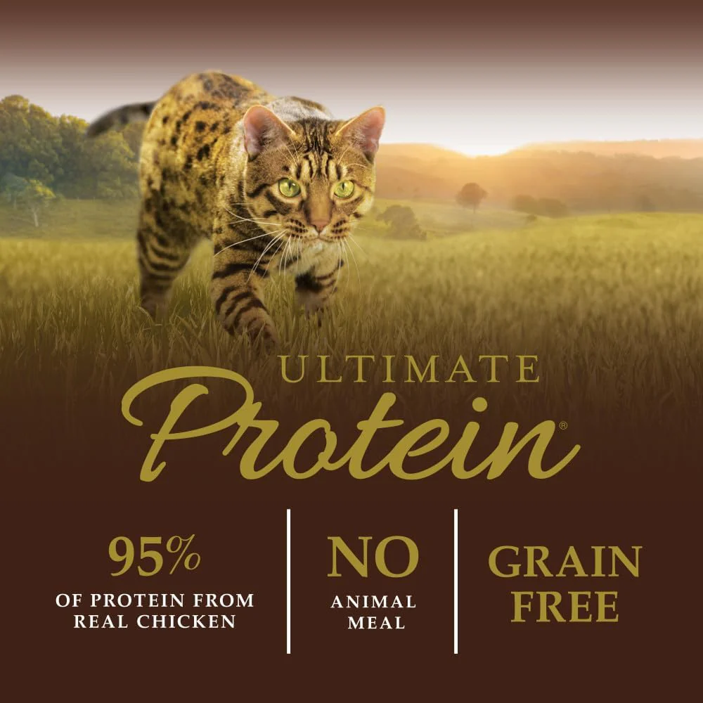 Instinct Ultimate Protein, Natural Dry Cat Food, Grain Free Recipe - Cage Free Chicken - Image 4