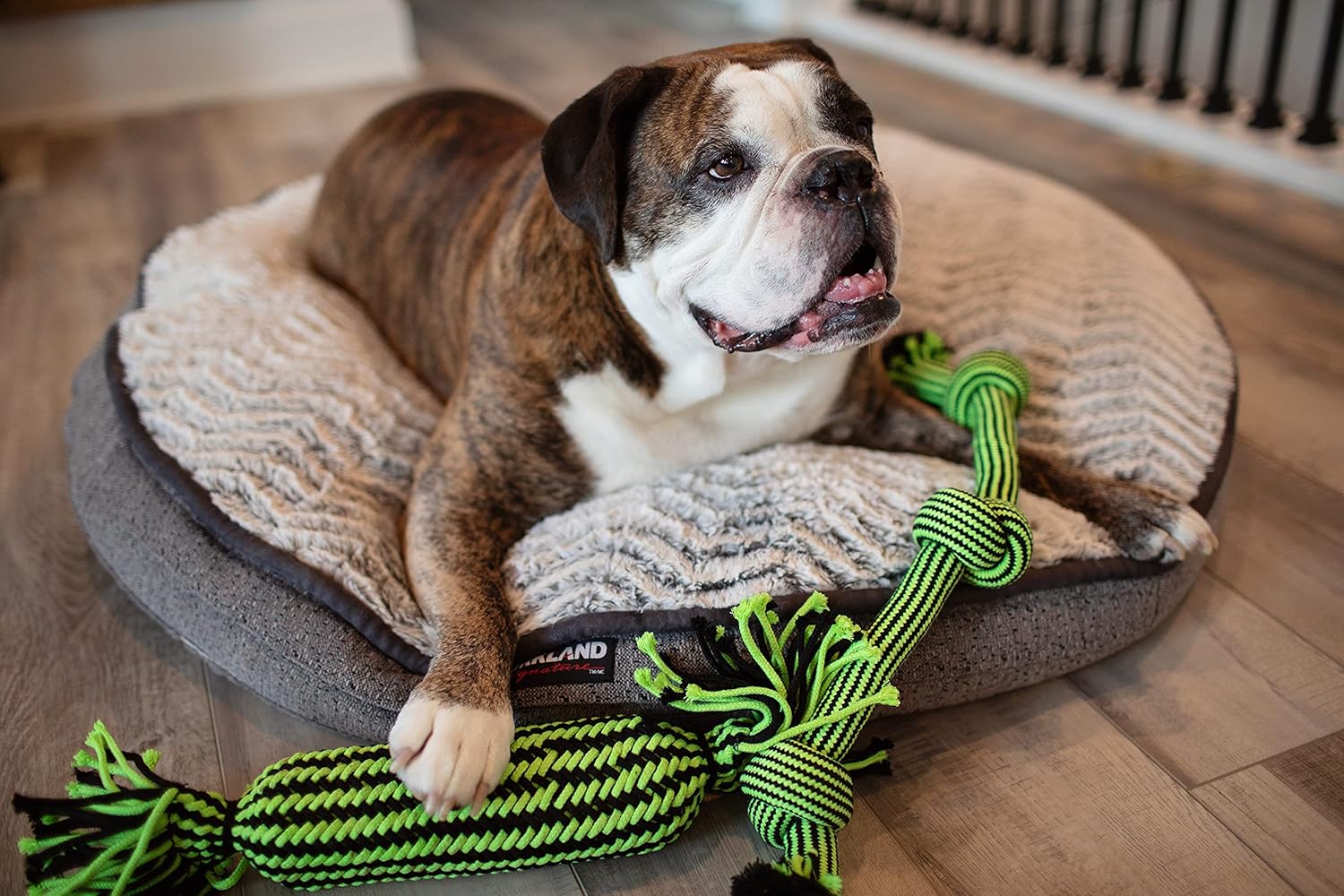 Jolly Pets® Knot-N-Chew (3 Knot) – Dog Toy - Image 6