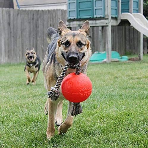 Jolly Pets® Romp-N-Roll Interactive Dog Toy – Orange - Image 3