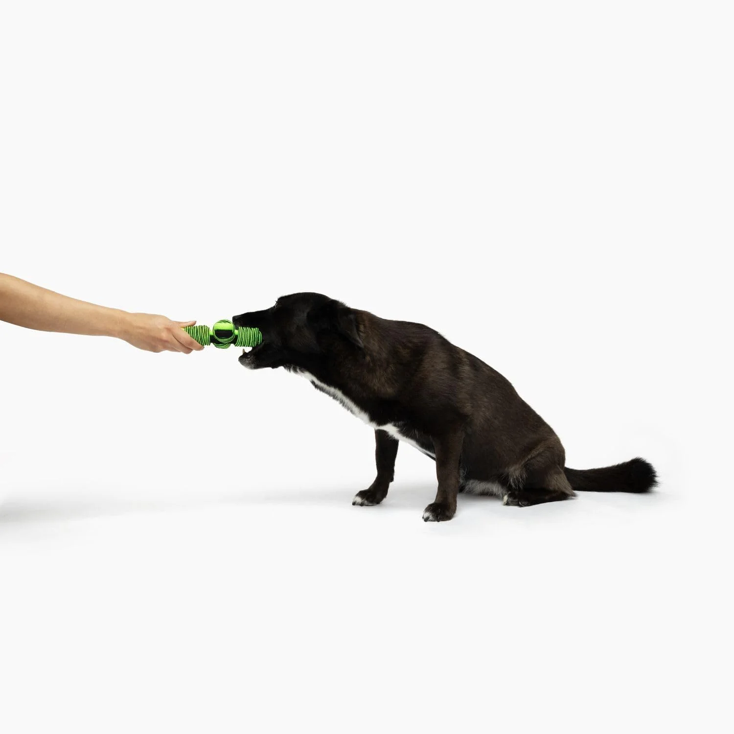 Jolly Pets® Tik Tak Tugzz Rope Dog Toy - Image 3