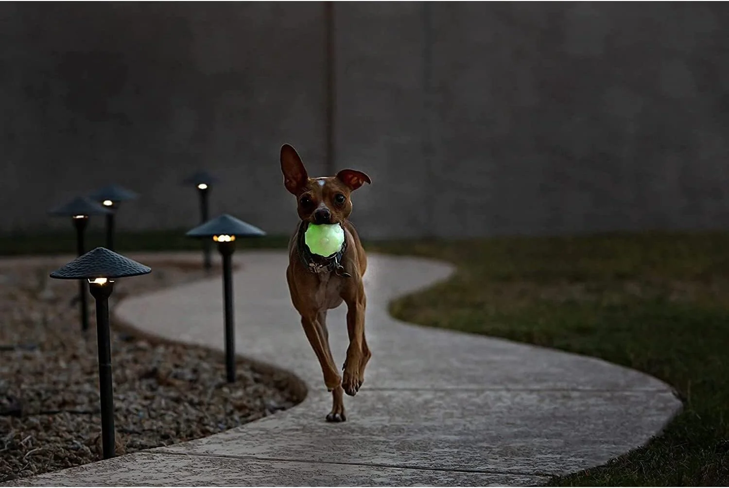 Jolly Pets Orange Jolly Jumper Ball Dog Toy - Image 2