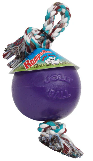 Jolly Pets Romp-N-Roll Ball Dog Toy Durable - Image 3