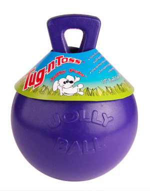 Jolly Pets Tug-n-Toss Heavy Duty Dog Toy Ball with Handle - Image 10