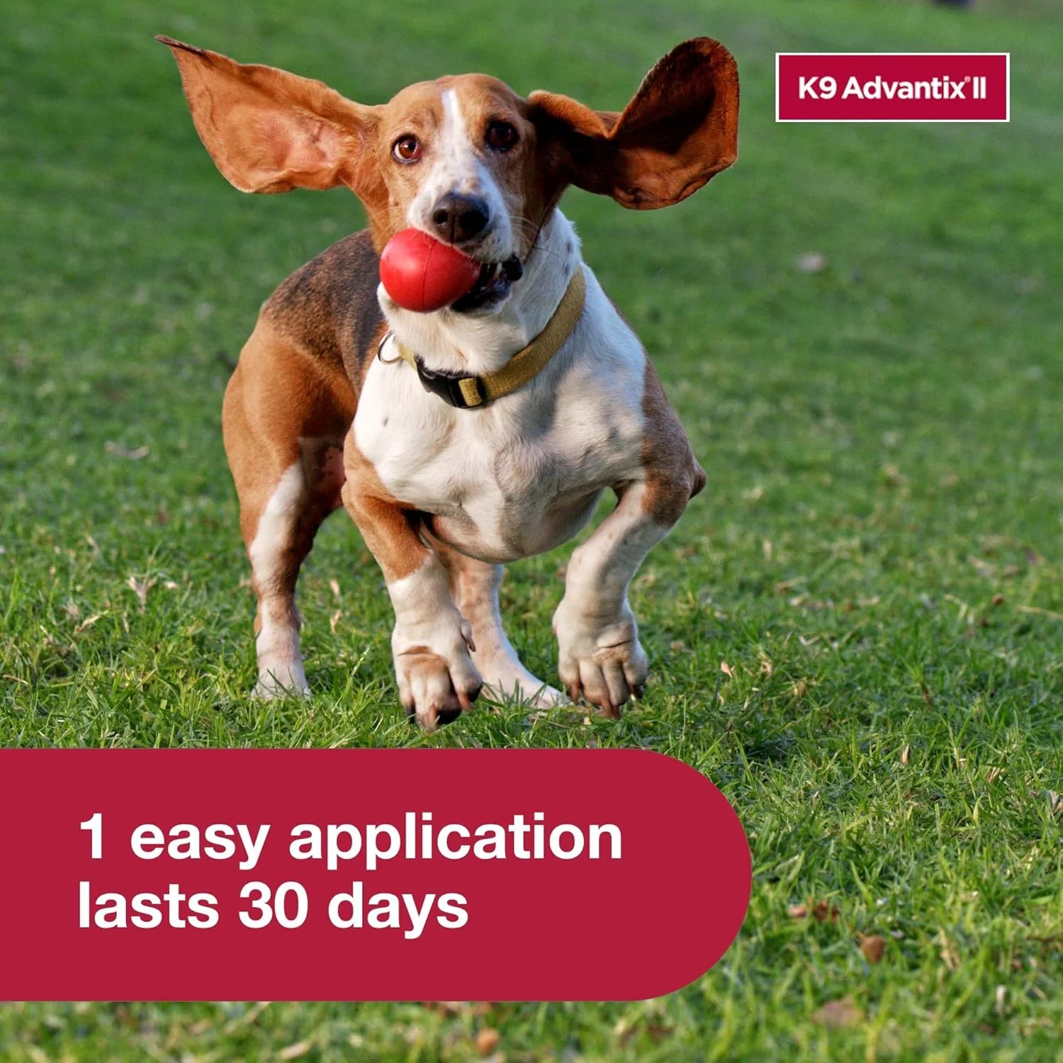 K9 Advantix II Dog Vet-Recommended Flea, Tick & Mosquito Treatment & Prevention | 1-Mo Supply - Image 6