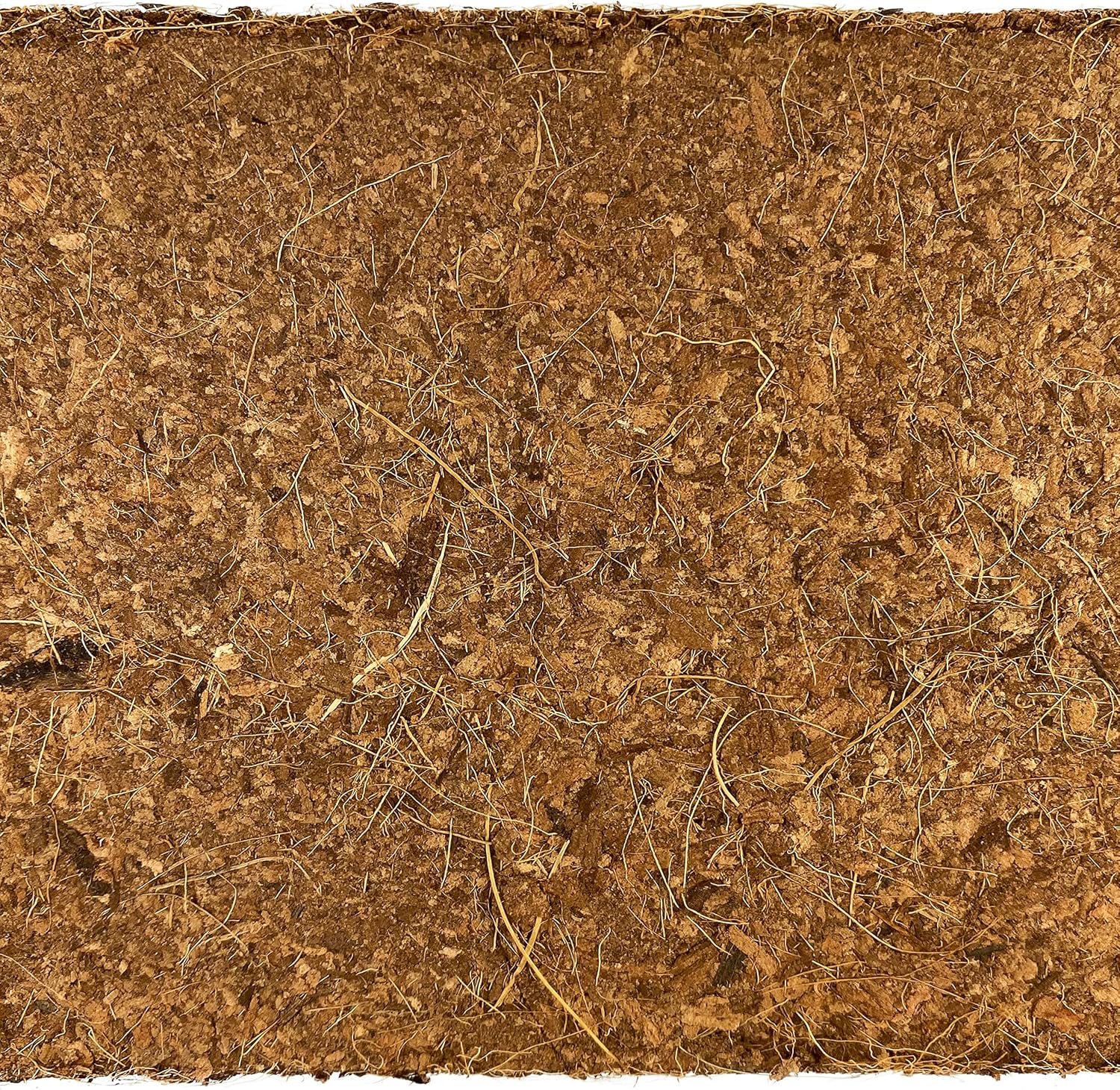 Komodo Coconut Coir Peat 3 Brick Pack | 100% Natural Coconut Coir Reptile Terrarium Habitat Bedding | for Tropical or Desert Environments | Fits up to a 60 Gallon Tank - Image 4