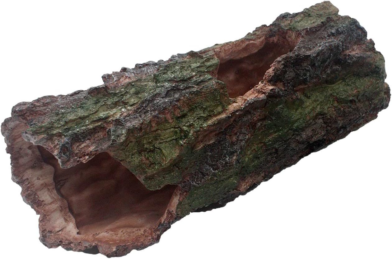Komodo Forest Log - Image 2
