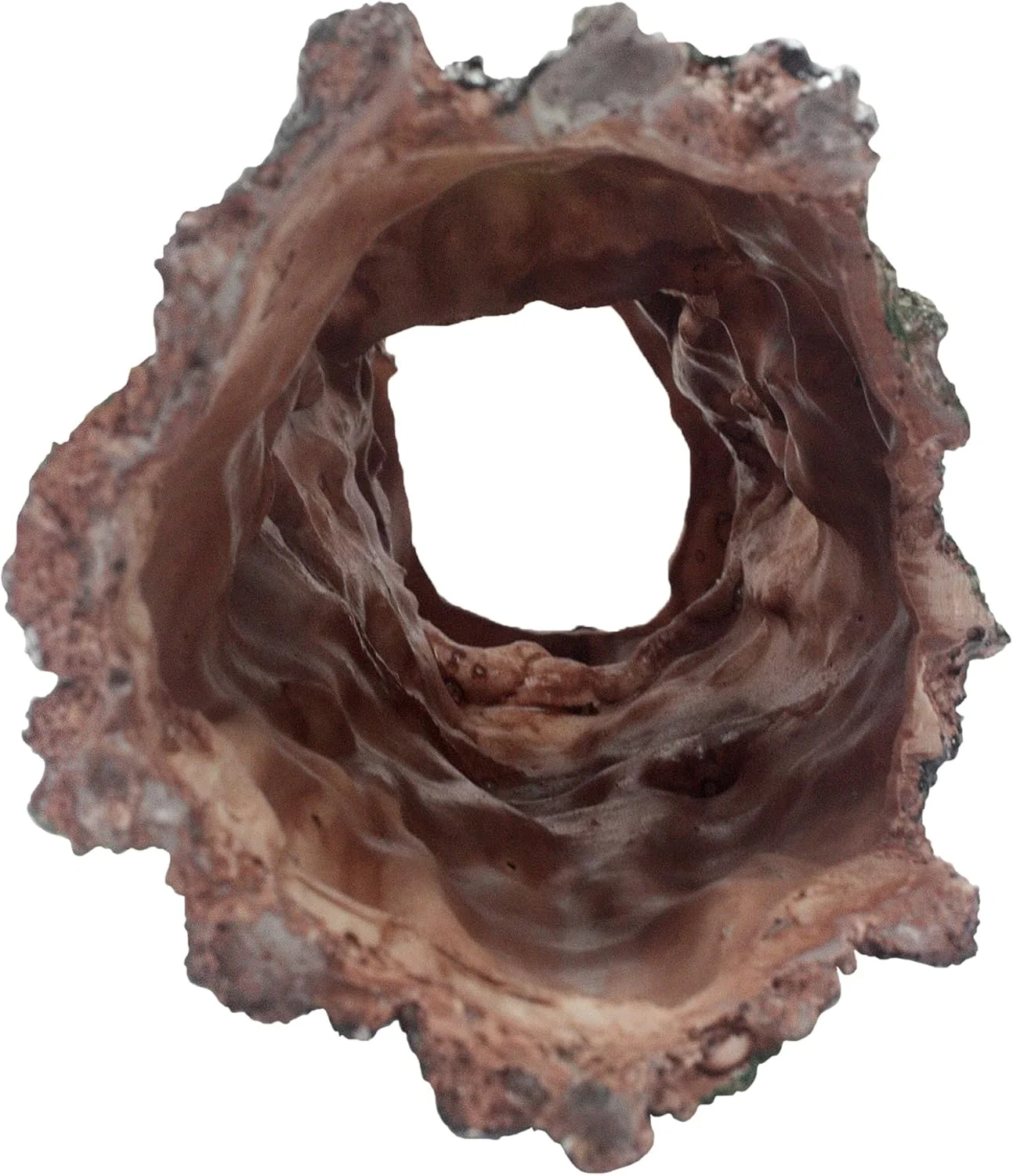 Komodo Forest Log - Image 3