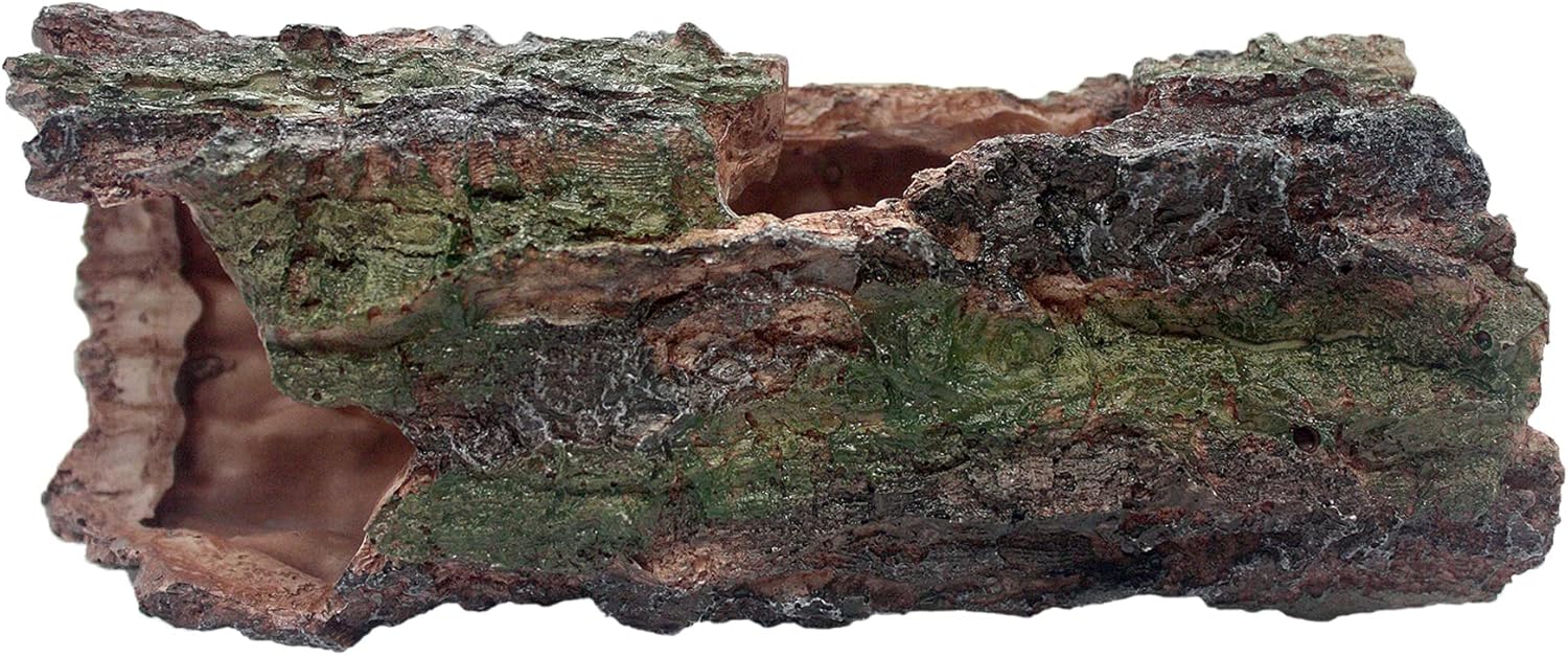 Komodo Forest Log - Image 4