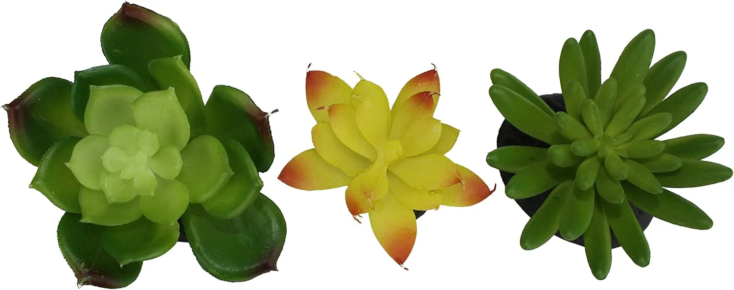 Komodo Reptile Terrarium Succulent 3PK Yellow/Green Plants | Natural Looking Artificial Aquarium Ornament & Habitat Decoration Accessory with Weighted Base - Image 5