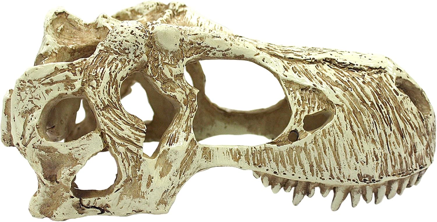 Komodo T-Rex Skull - Image 2