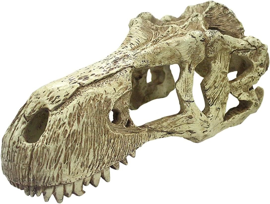 Komodo T-Rex Skull - Image 6
