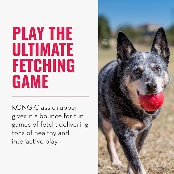 KONG Ball with Hole - Durable Dog Fetch Toy for Training, Interactive Playtime & More - Classic KONG Natural Rubber Ball - Red - Image 10