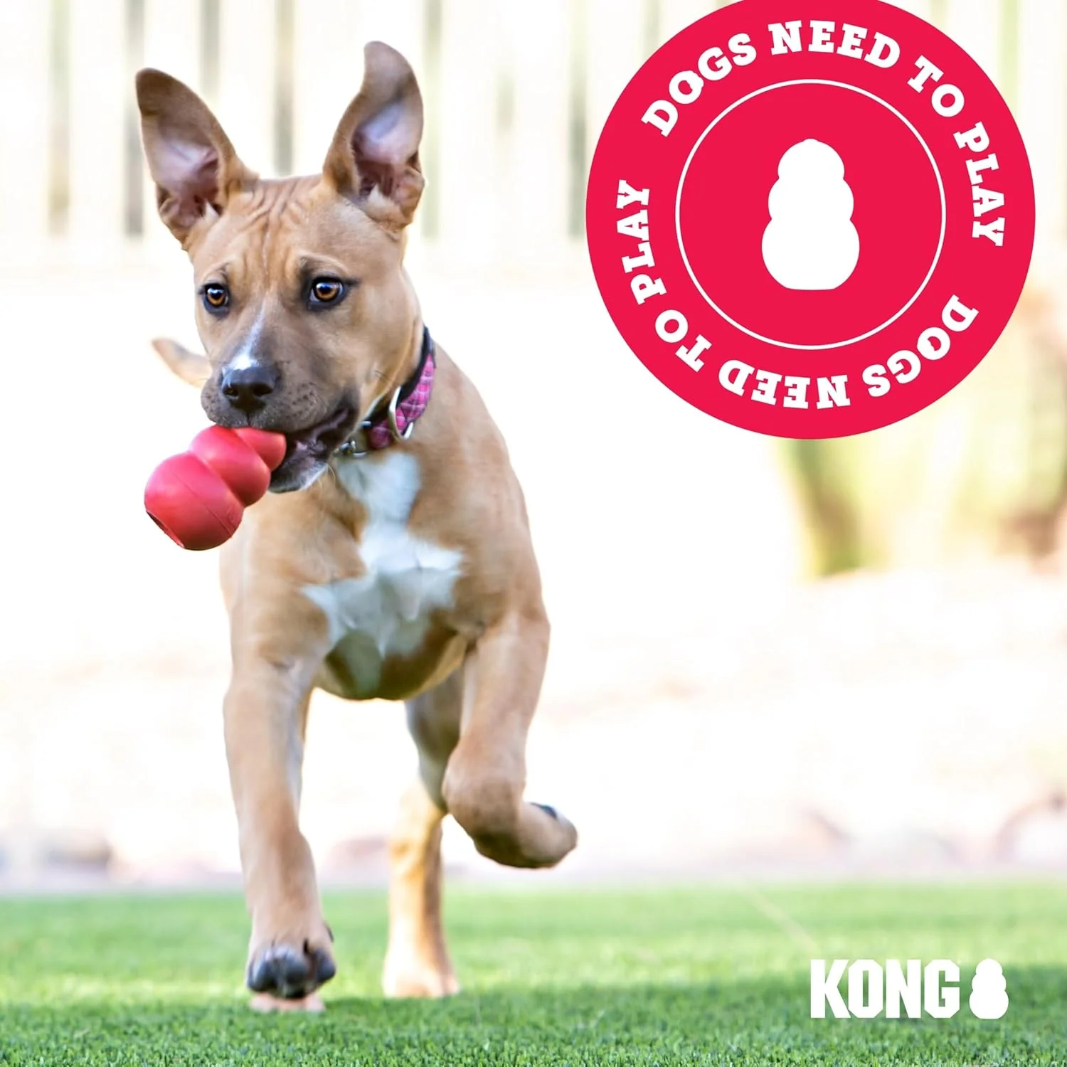 KONG Ball with Hole - Durable Dog Fetch Toy for Training, Interactive Playtime & More - Classic KONG Natural Rubber Ball - Red - Image 6