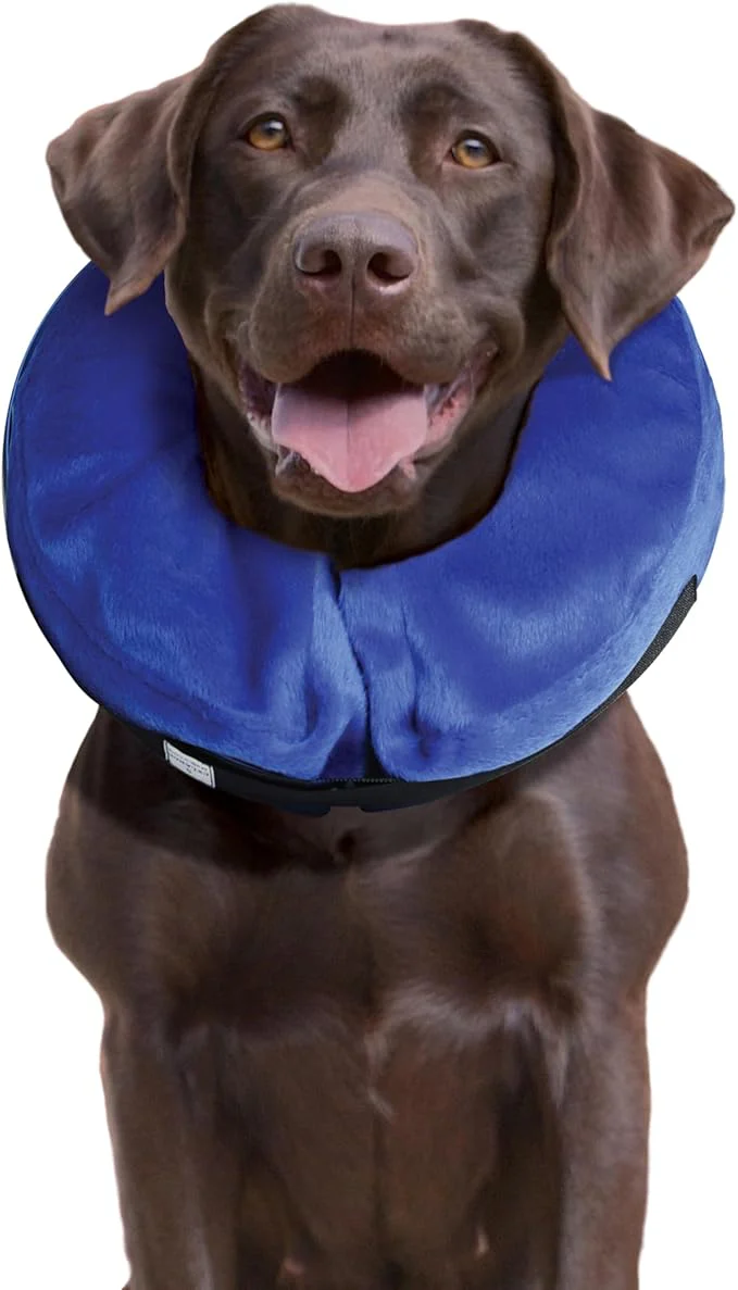 KONG - Cloud Collar - Inflatable Collar - For Injuries, Rashes and Post Surgery Recovery - Image 3
