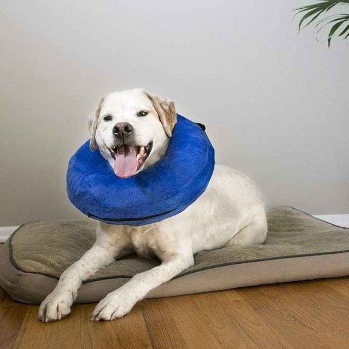 KONG - Cloud Collar - Inflatable Collar - For Injuries, Rashes and Post Surgery Recovery - Image 6