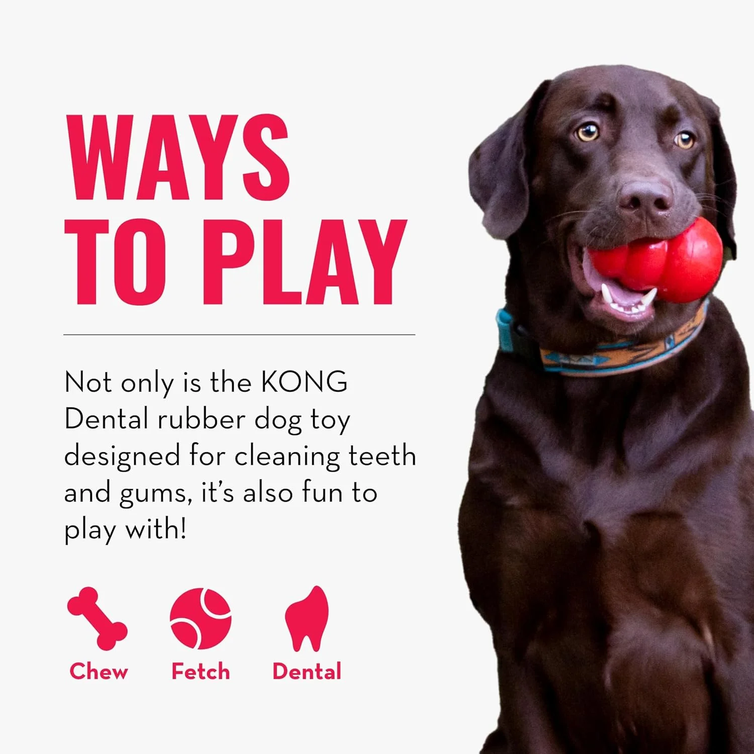 KONG Dental Dog Toy - for Dog Dental Care - Stuffable Chew Toy - Provides Chewing Outlet & Satisfies Instinctual Needs - Cleans Teeth & Gums - Made with Durable Natural Rubber - for X-Large Dogs - Image 3